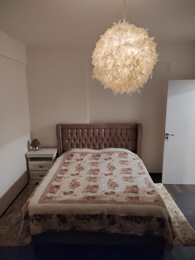 The Unique Apartment Roşu 외부 사진
